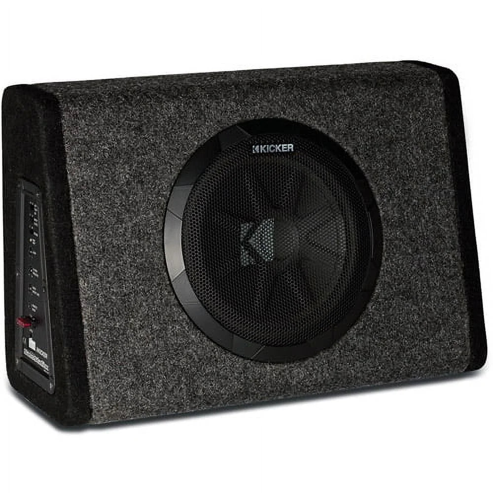 New PT250 10" Subwoofer with Built-In 100W Amplifier