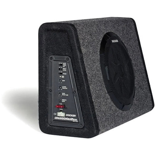 New  PT250 10" Subwoofer with Built-In 100W Amplifier
