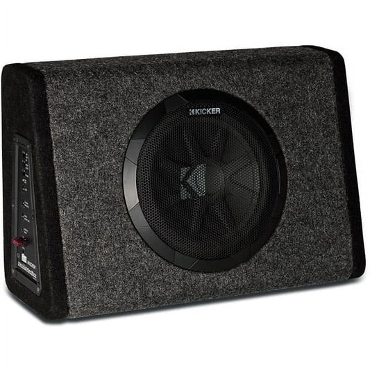New  PT250 10" Subwoofer with Built-In 100W Amplifier