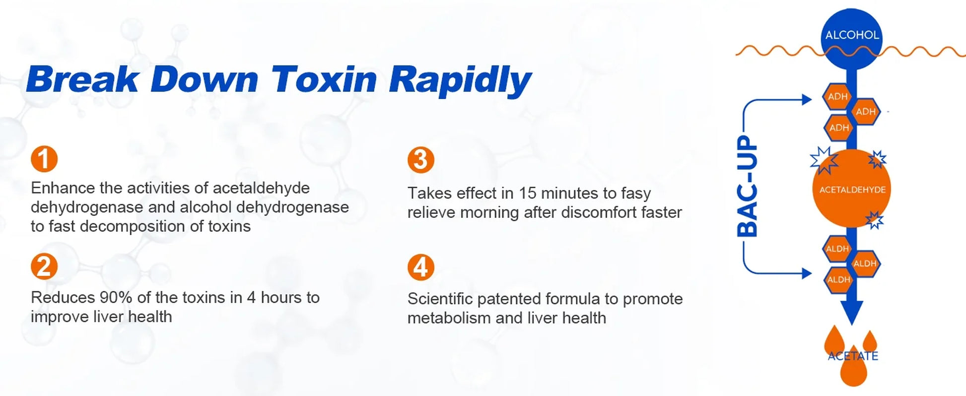 Scientific NADH for a Better Tomorrow, the Best Sober Way (30 Servings/Bottle)